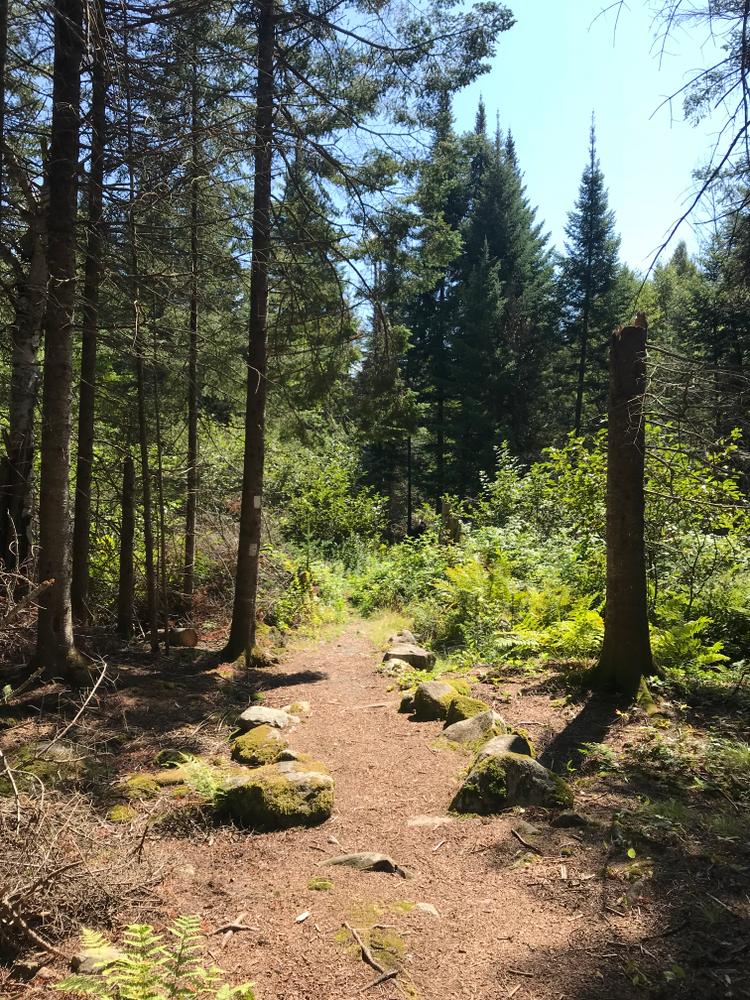 Trail surface (Credit: RLHT)