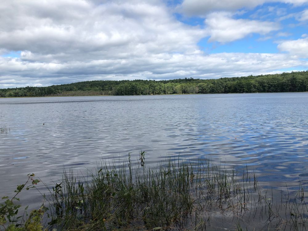 Hutchinson Pond Trail - Maine Trail Finder