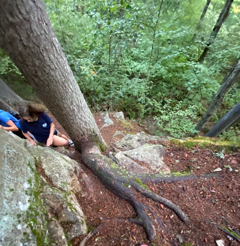 Climb up and then back down along the ridge of rock wall and tree trunk (Credit: eigram1970)