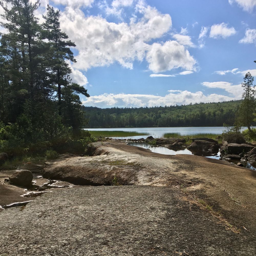 Amherst Mountains Community Forest - Ducktail and Partridge Pond Trails ...