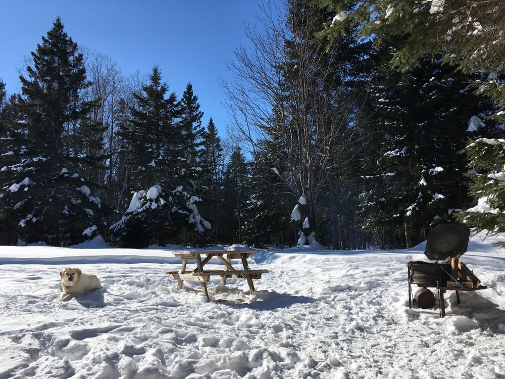 Beautiful winter day. March 1, 2019 (Credit: Farm Brook Trails)