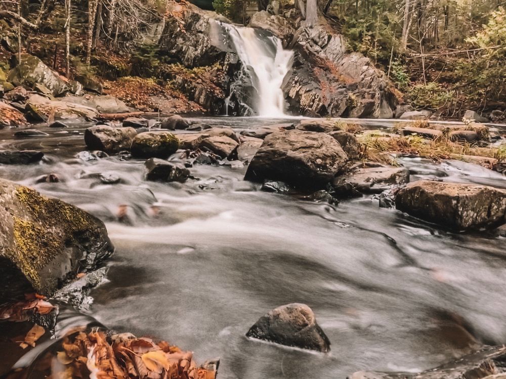 Poplar Stream Falls (Credit: Kelsey Mills)