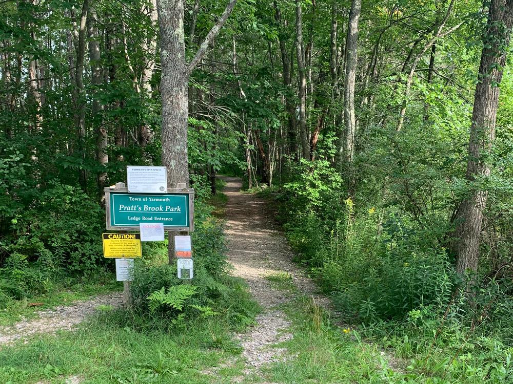 Trail access from Ledge Road entrance