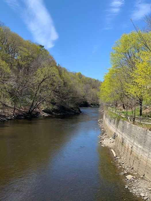 Kenduskeag Stream Trail Maine Trail Finder