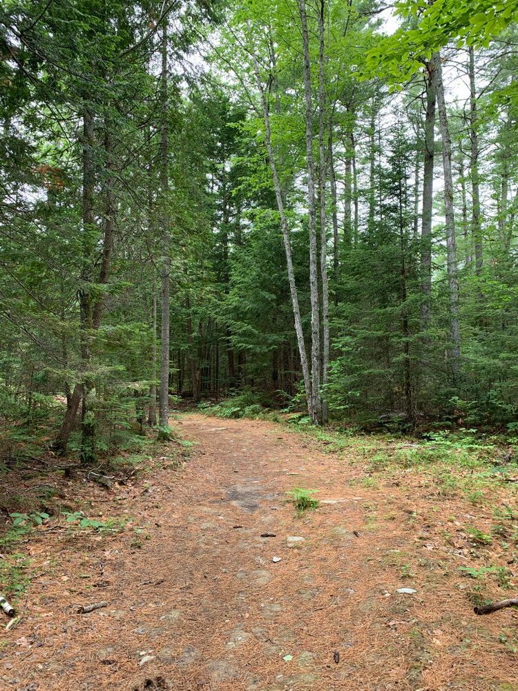 Rampe Conservation Easement & Orono High School Trails Maine Trail Finder