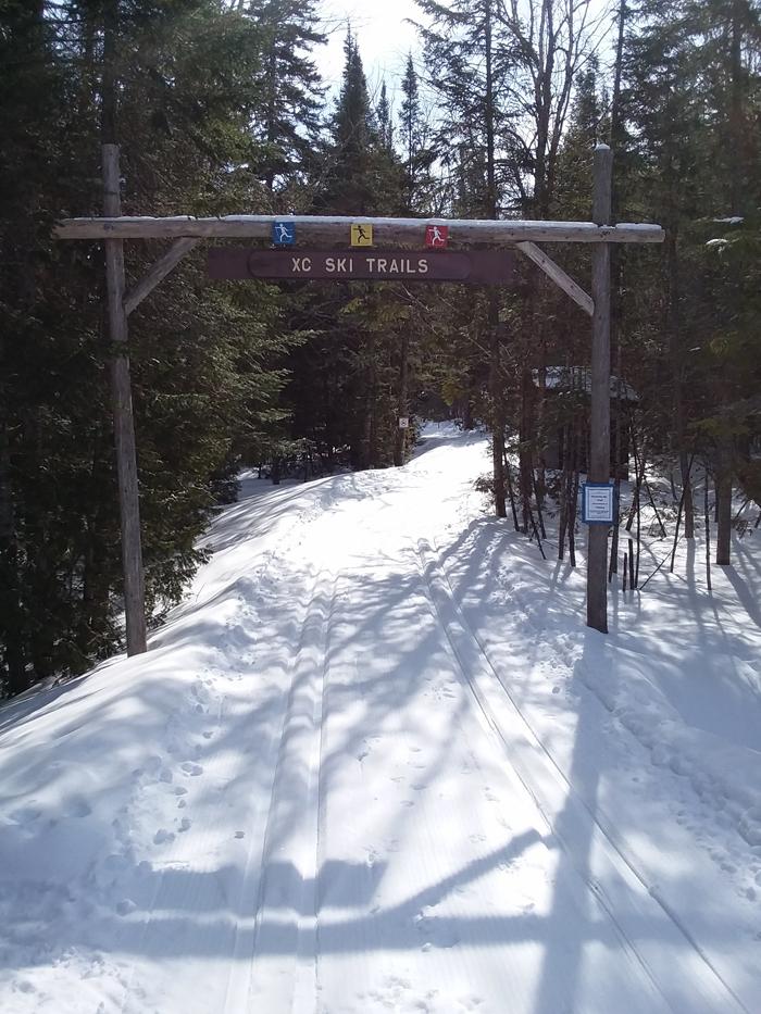 Entrance to the Novice Trail at Aroostook State Park (Credit: Steve Lyons)