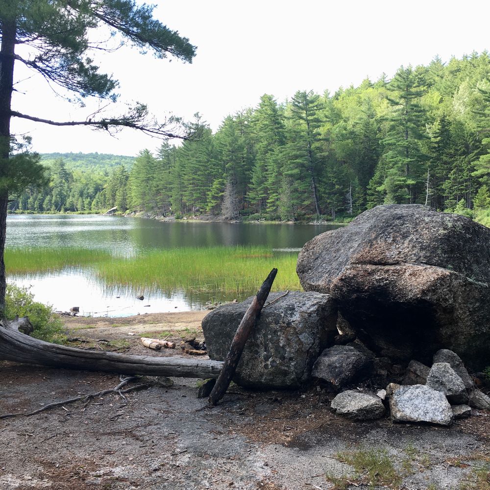 Amherst Mountains Community Forest Ducktail and Partridge Pond Trails