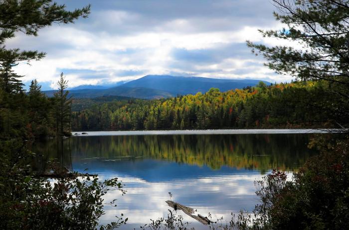 Pogy Notch Trail - Maine Trail Finder