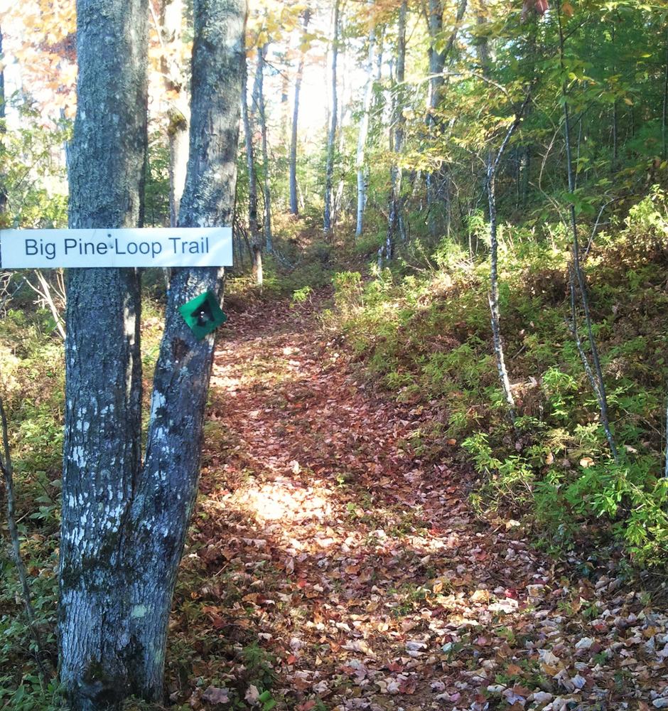 Tenmile River Demonstration Forest Maine Trail Finder