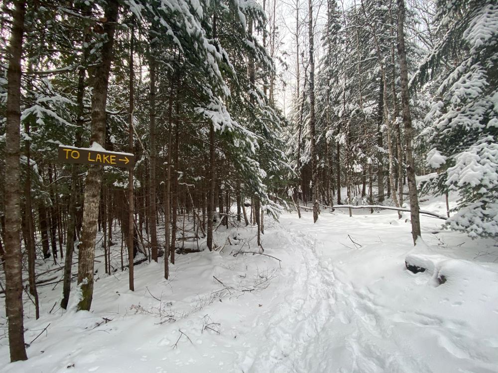 Bonney Point trail in winter (Credit: Rangeley Lakes Heritage Trust)
