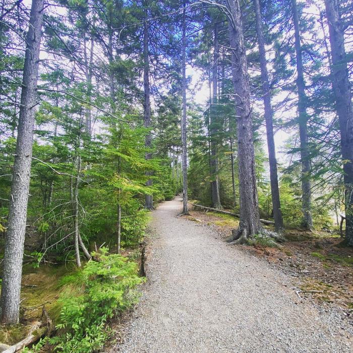 Cupsuptic Lake Trail Maine Trail Finder