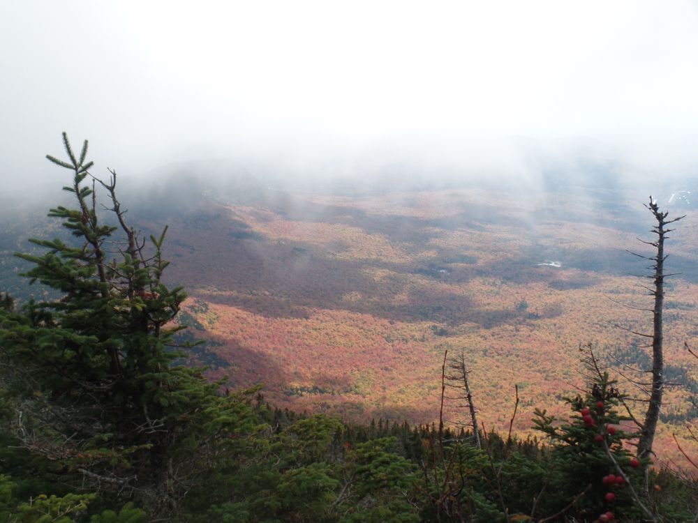 Bigelow Preserve Safford Brook Trail to Avery Peak Maine Trail Finder