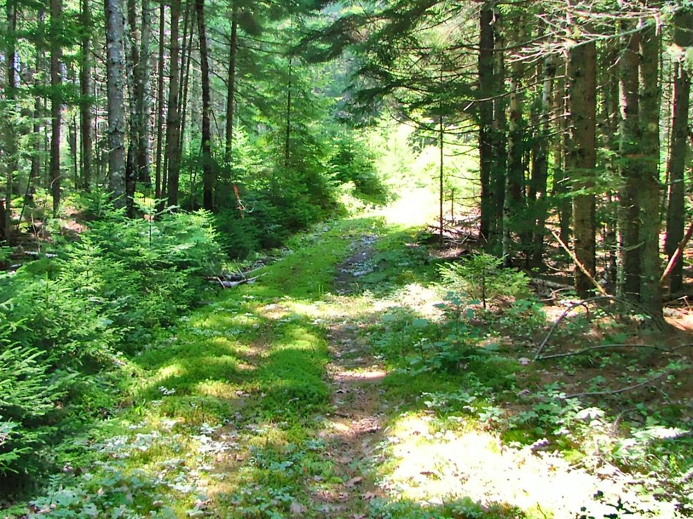 CrossCushing Nature Preserve Maine Trail Finder