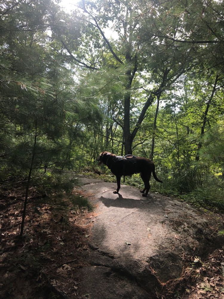 Edwin L. Smith Preserve - Maine Trail Finder