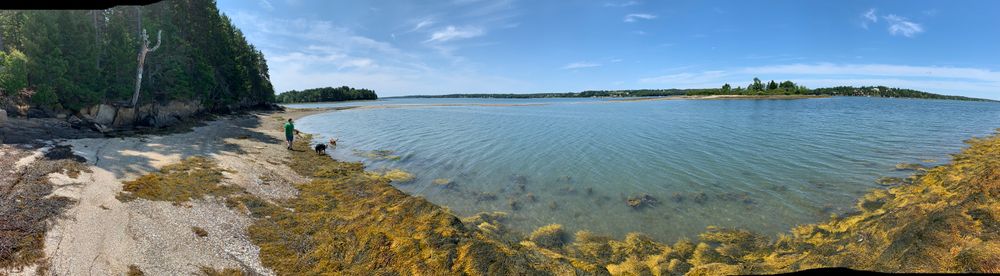 Pano looking to Wyer Island at low tide (Credit: Holtzi)