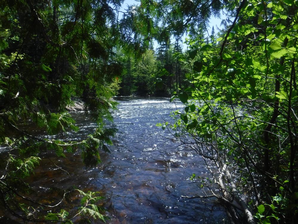 North Branch Dead River Chain of Ponds to Airport Road Maine Trail