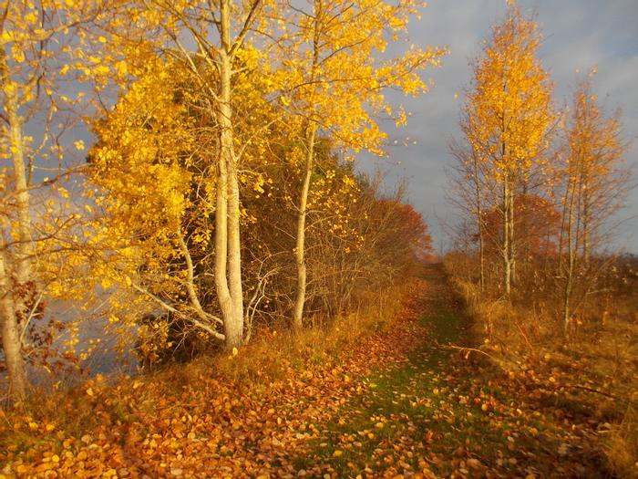 Great Salt Bay Farm Maine Trail Finder