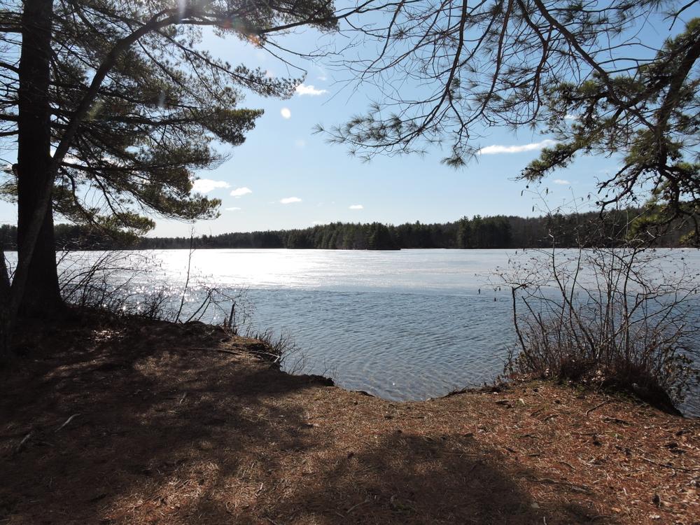 Range Pond State Park Maine Trail Finder