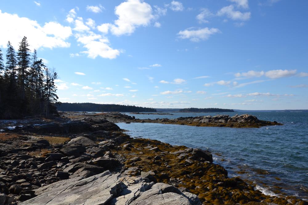 Indian Point-Blagden Preserve - Maine Trail Finder