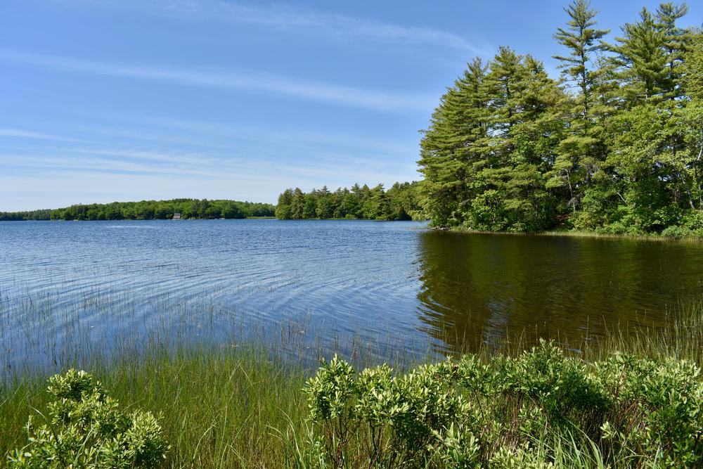 Doyle Preserve - Maine Trail Finder