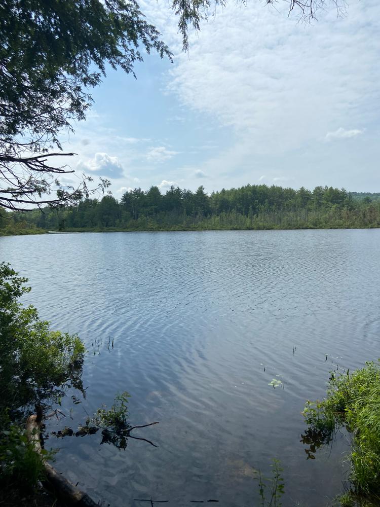 Northern Pond Natural Area