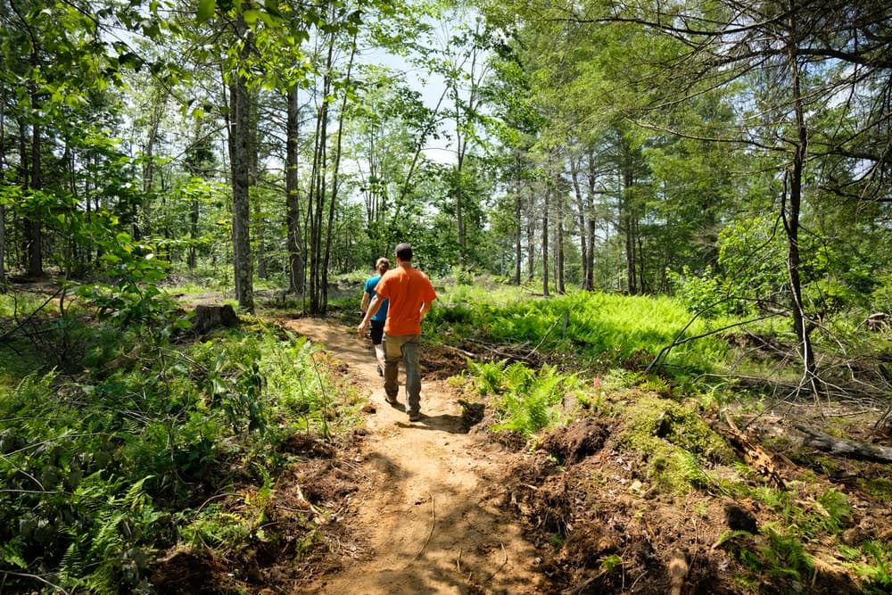 East Windham Conservation Area Maine Trail Finder