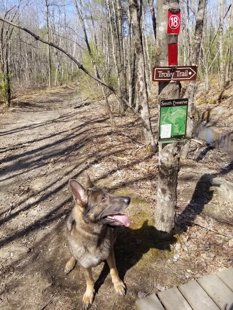 Edwin L. Smith Preserve - Maine Trail Finder