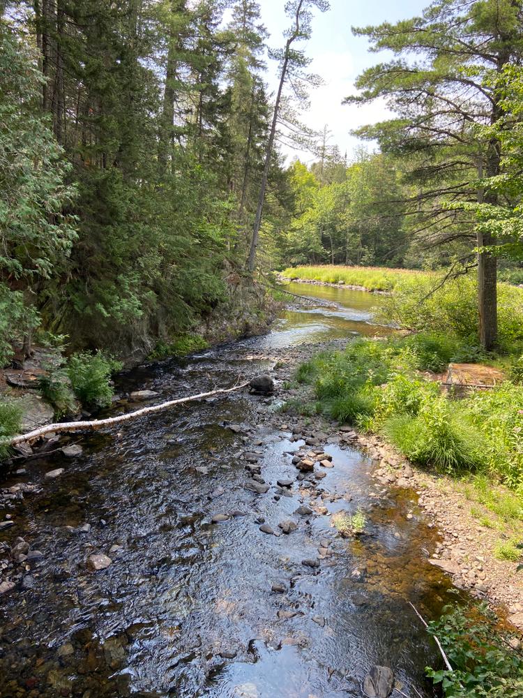 Stream at head of trail
