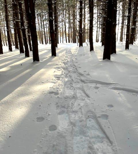 Winter Trail (Credit: Francis Malcolm Science Center)
