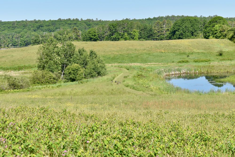 Great Salt Bay Farm Maine Trail Finder