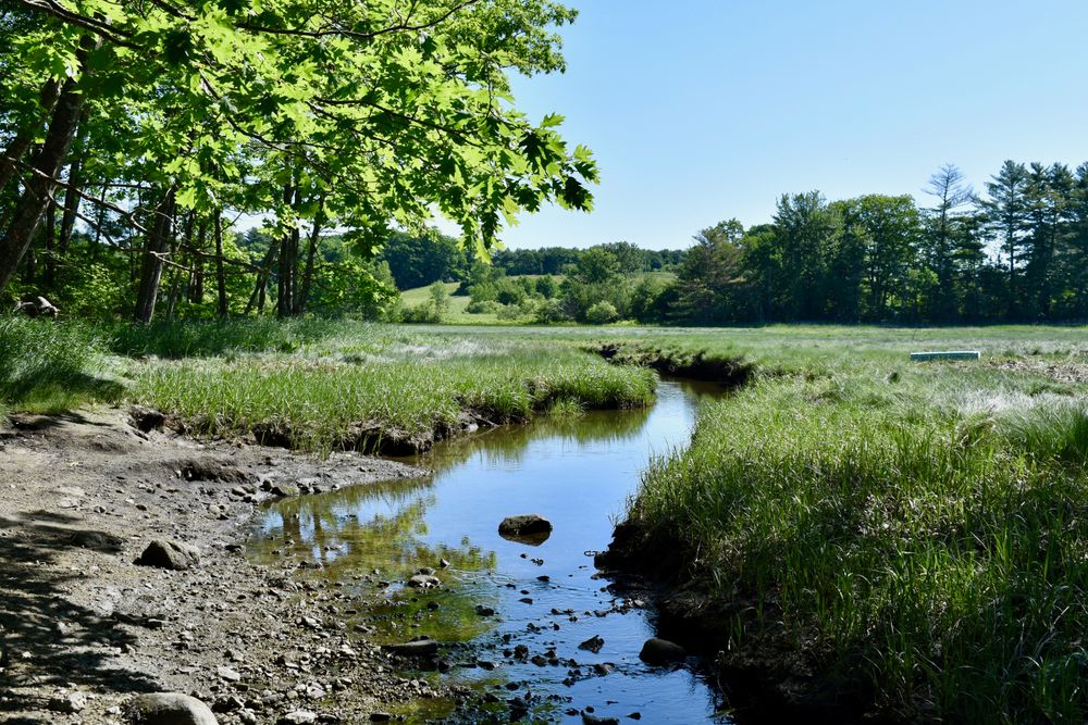 Great Salt Bay Farm Maine Trail Finder