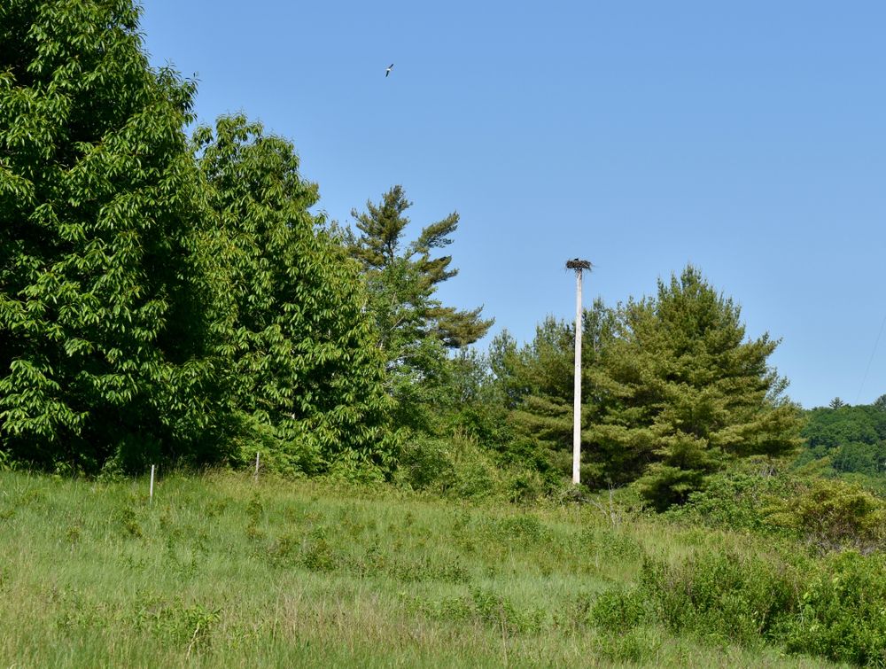 Great Salt Bay Farm Maine Trail Finder