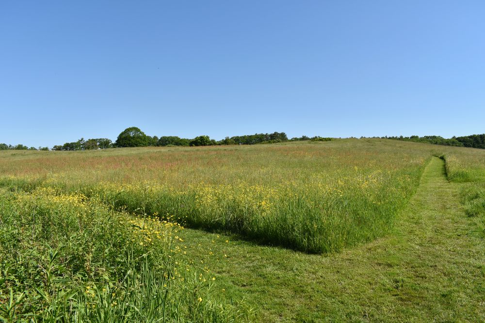 Great Salt Bay Farm Maine Trail Finder