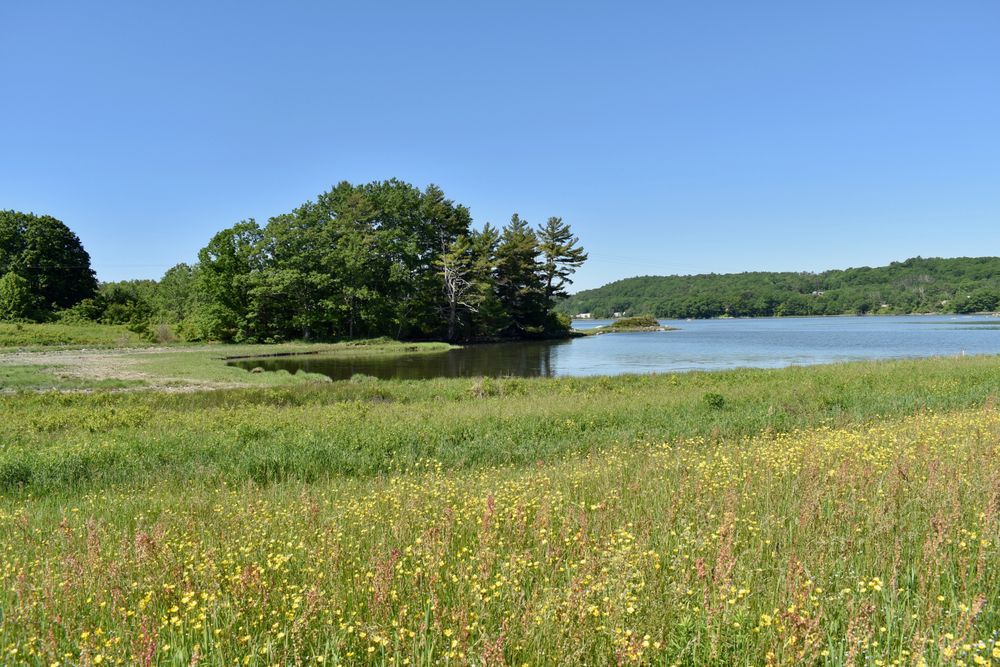 Great Salt Bay Farm Maine Trail Finder