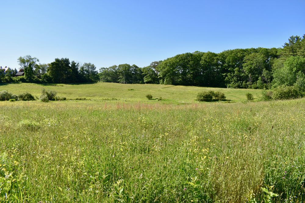 Great Salt Bay Farm Maine Trail Finder