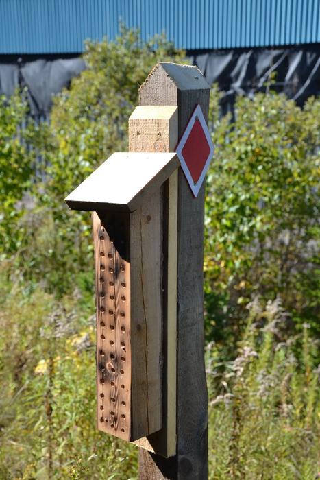 Bee nesting box at Hatchery Loop Trailhead (Credit: Maine Trail Finder)