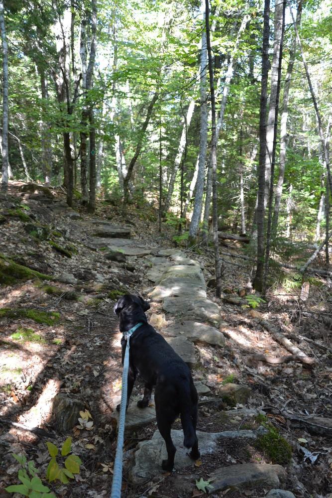 Green Lake National Fish Hatchery Trails - Maine Trail Finder