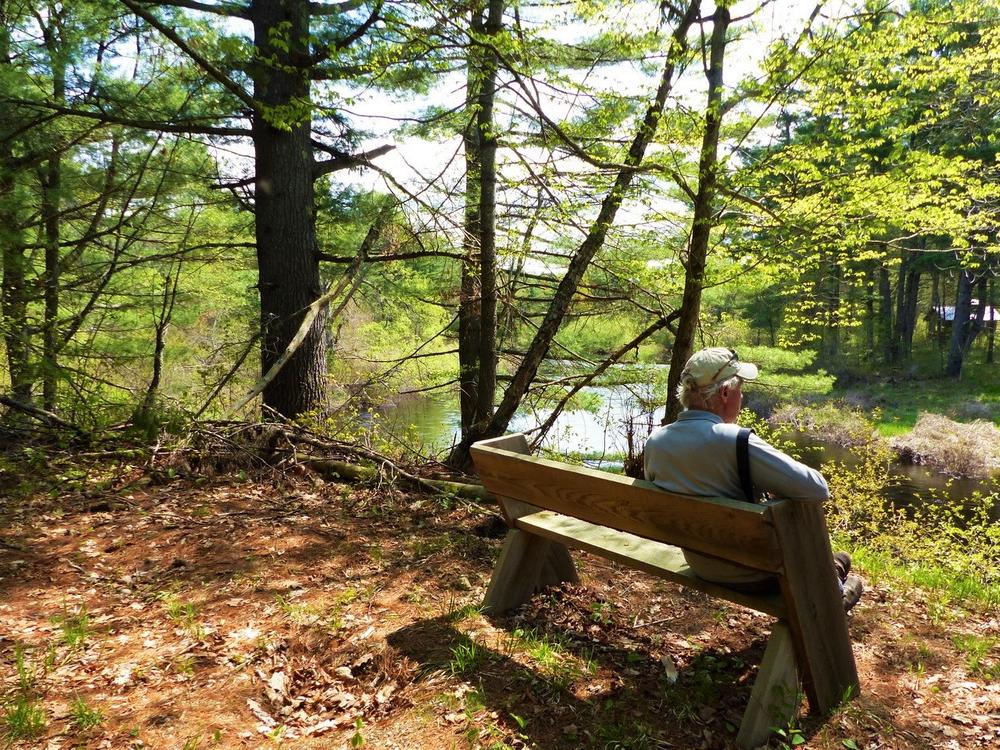 Happy Farm Trail Maine Trail Finder