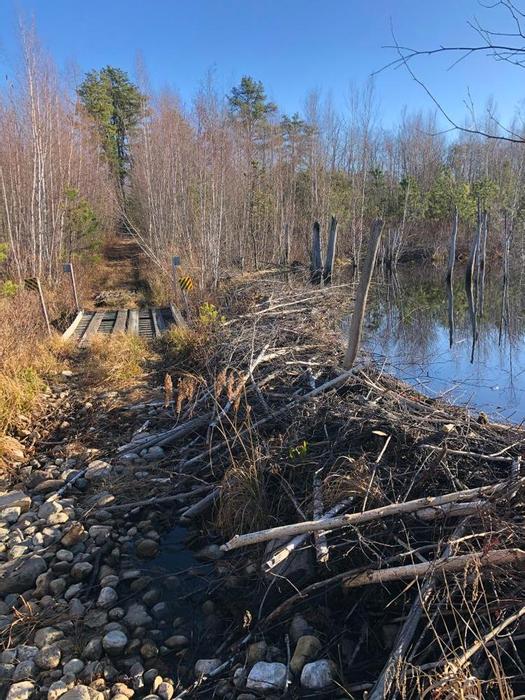 Wells Barrens Preserve Maine Trail Finder