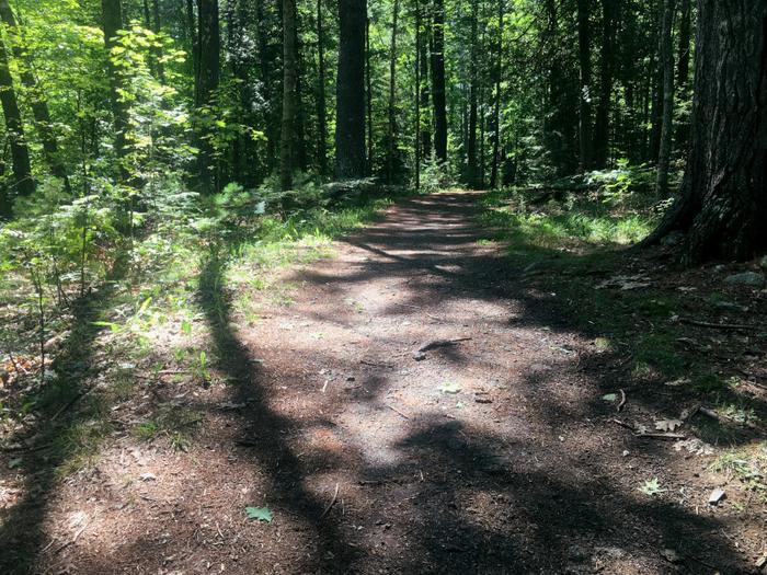 Typical trail surface (Credit: Hope Rowan)