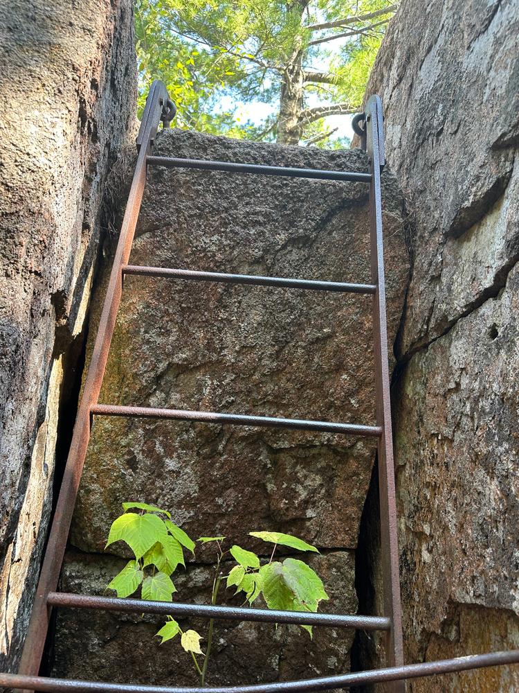 Ladder # 3 going up (Credit: Lynn English)