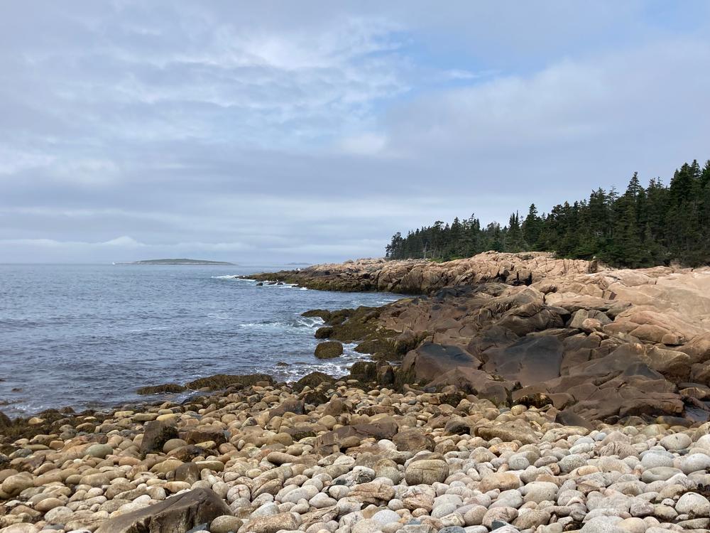 Frenchboro Preserve Maine Trail Finder
