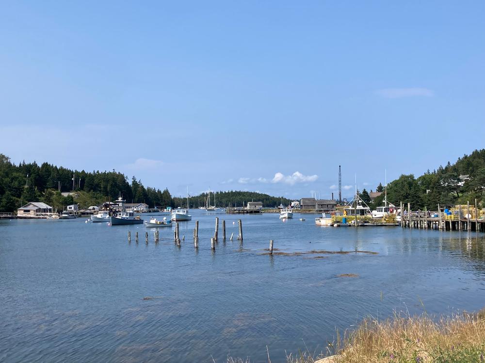 Frenchboro Preserve Maine Trail Finder