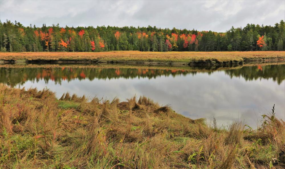 Babson Creek - Maine Trail Finder