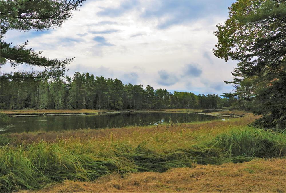 Babson Creek - Maine Trail Finder