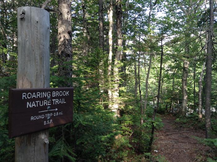 Roaring Brook Nature Trail