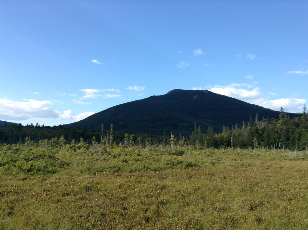 Roaring Brook Nature Trail Maine Trail Finder