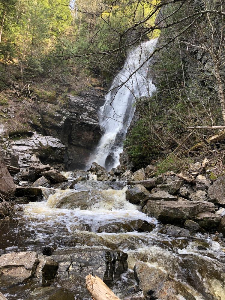 Angel Falls - Spring 2019
