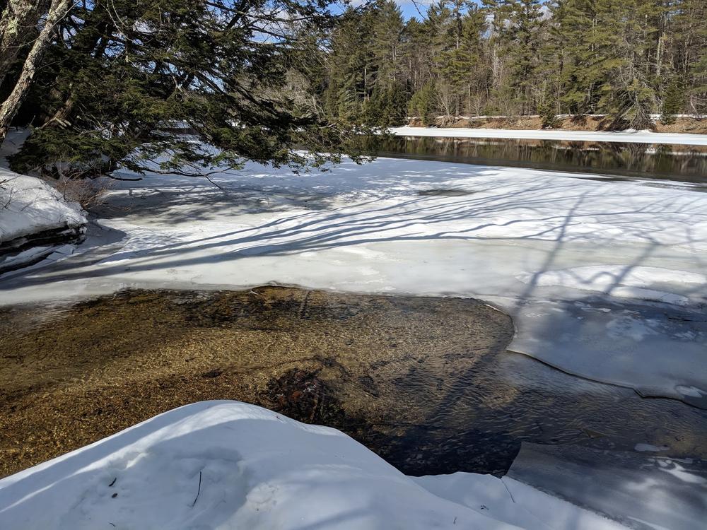 view of the Saco river, 3/3/19 (Credit: Michael Hanson)
