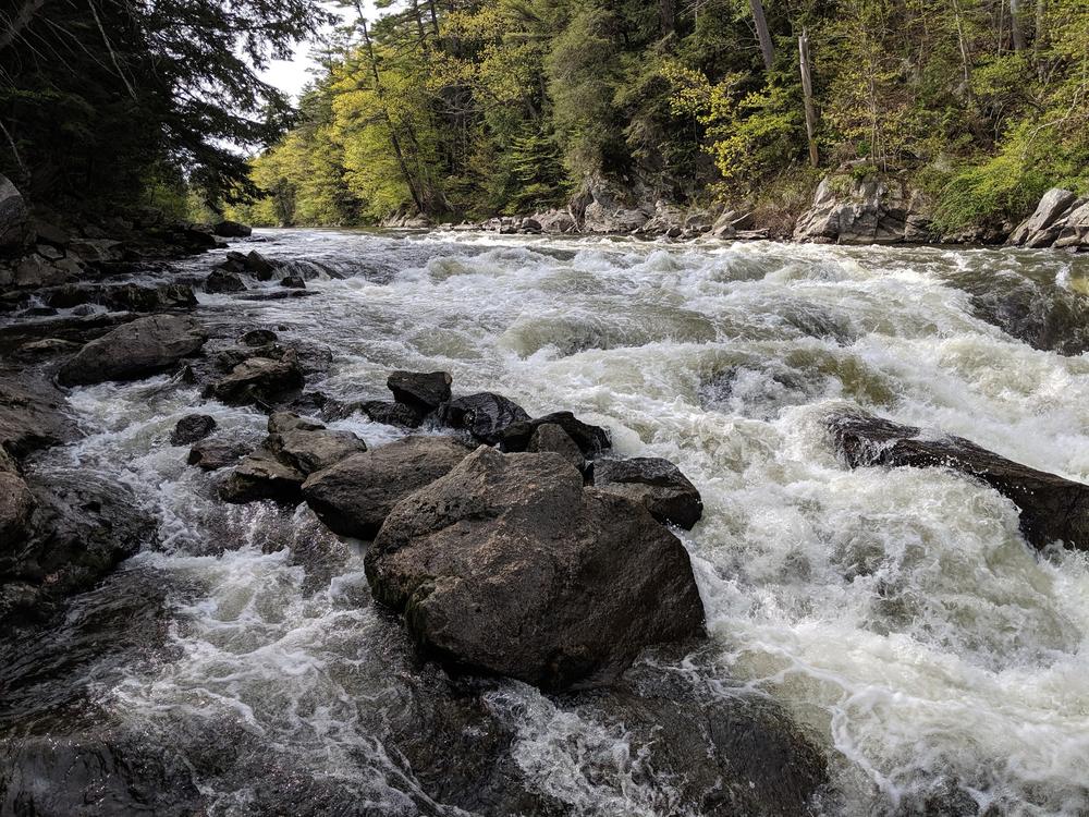 Presumpscot River Preserve and Oat Nuts Park Maine Trail Finder